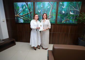 Yara Lins entrega à Justiça Eleitoral relação de gestores com contas irregulares