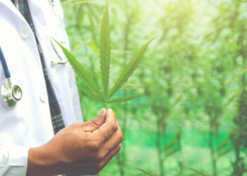 Novas regras reforçam controle sobre cannabis medicinal no Brasil
