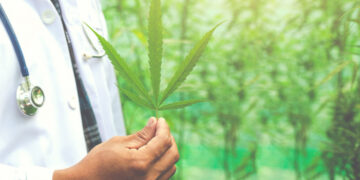 Novas regras reforçam controle sobre cannabis medicinal no Brasil