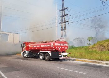Incêndios florestais aumentam 324% em Manaus