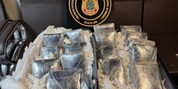 Mulher é presa pela PF ao tentar embarcar com 16 tabletes de skunk no Aeroporto de Manaus