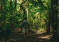 Dia da Amazônia: como a marca mais sustentável do mundo transforma biodiversidade da floresta em inovação para a indústria da beleza