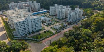 Dia da Amazônia: quando planejar a cidade também é cuidar da floresta