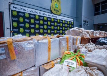 Polícia apreende 2,4 toneladas de drogas e prende 2 homens em Manaus