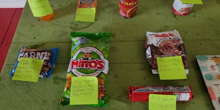 Estudo mostra como mercados locais, ambiente e modos de vida influenciam a alimentação em comunidades ribeirinhas amazônicas