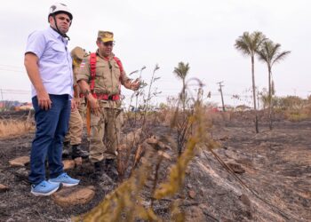 Governador do Amazonas acompanha combate a incêndio de grandes proporções na AM-070