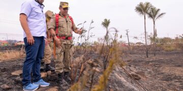 Governador do Amazonas acompanha combate a incêndio de grandes proporções na AM-070