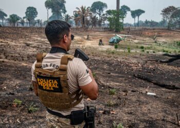 Governador Roberto Cidade convoca comitê; Governo Federal anuncia reforço no combate às queimadas no Amazonas