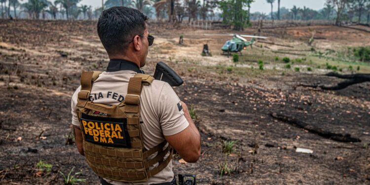 Governador Roberto Cidade convoca comitê; Governo Federal anuncia reforço no combate às queimadas no Amazonas