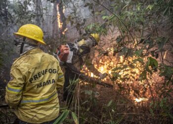 Ministério da Saúde, estado e municípios atendem a população no Amazonas