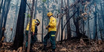 Mais de 102 mil pessoas estão afetadas pela estiagem 