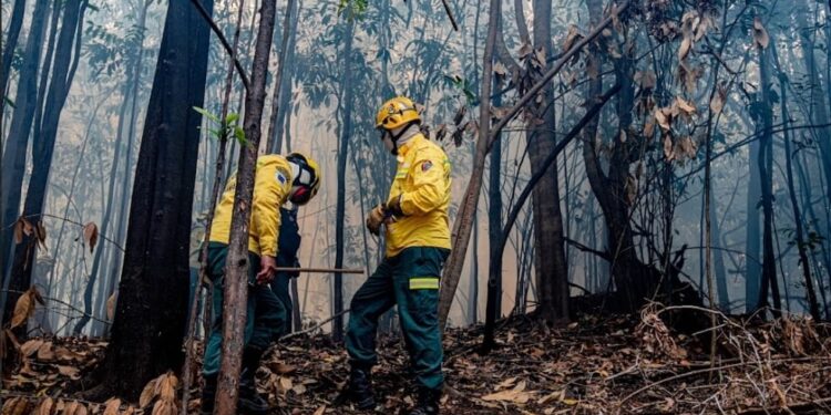 Mais de 102 mil pessoas estão afetadas pela estiagem 