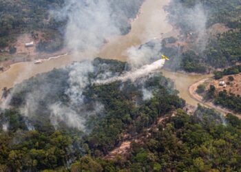Inpe aponta atividades humanas como principal fator das emissões de carbono na Amazônia