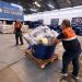 Governo do Amazonas divulga boletim sobre a estiagem, nesta quinta-feira